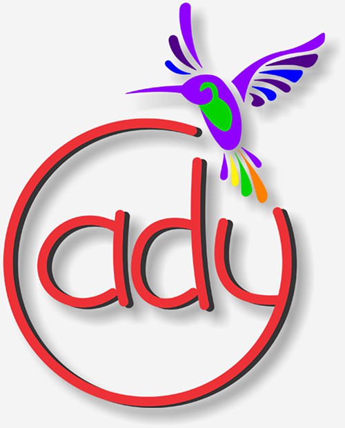 ady logo